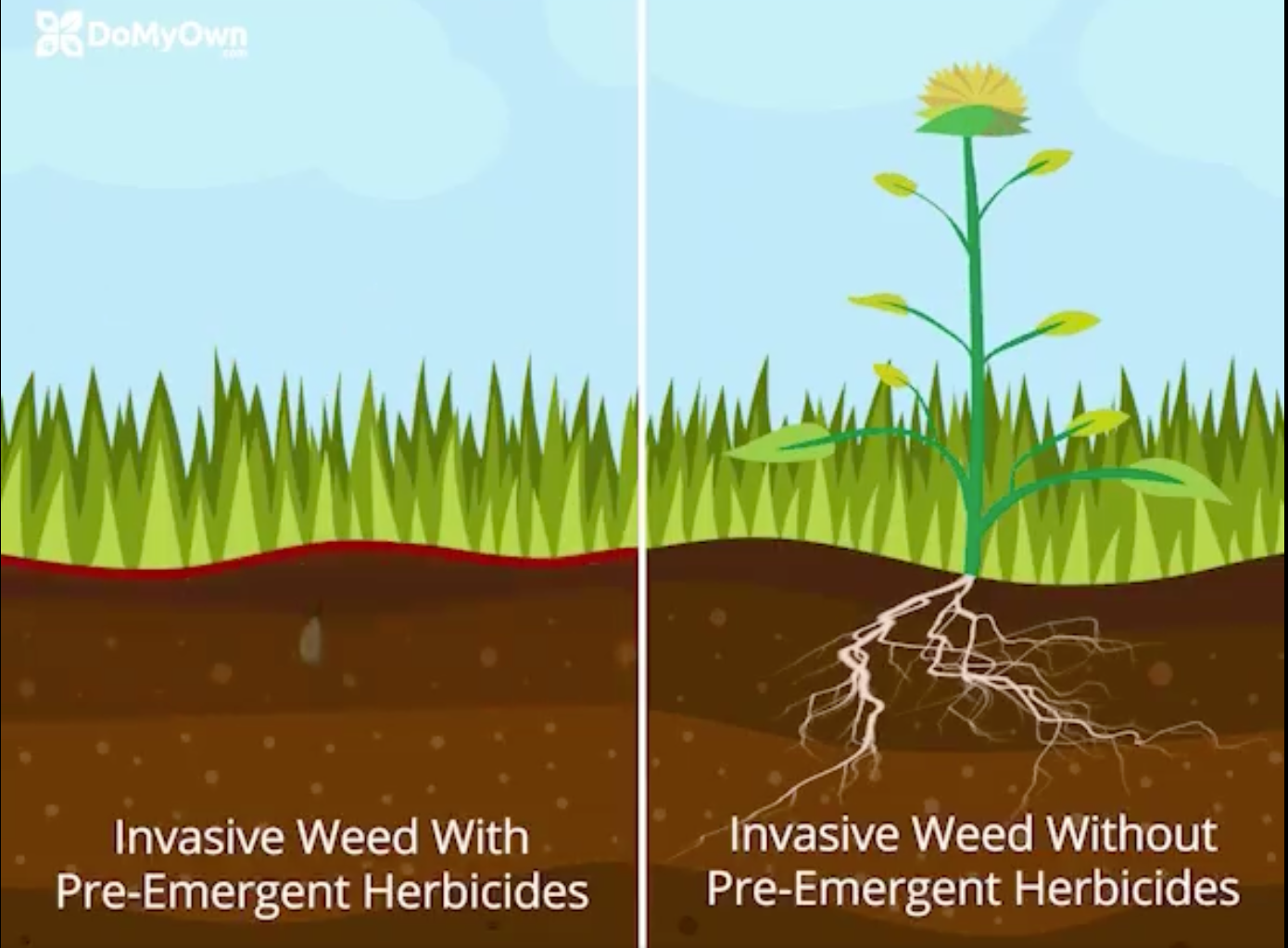 Early Season Pre-Emergent for Lawns and Beds