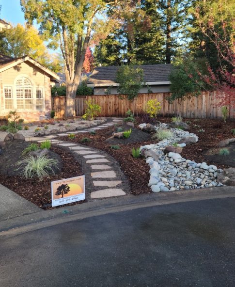 Front Yard Transformation